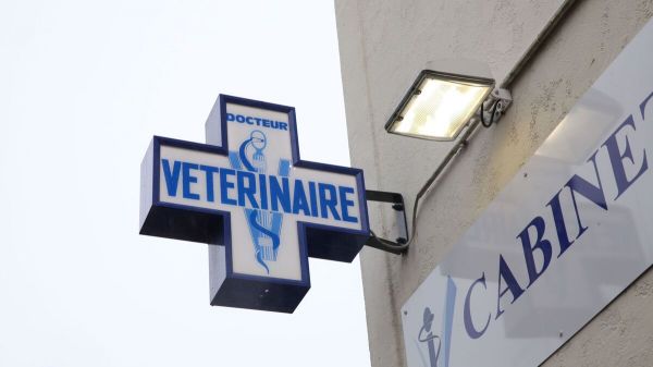 « Les gestes d'un psychopathe » : qui se cache derrière les cadavres de chats décapités dans les Yvelines ?