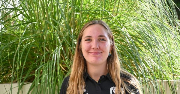 Volley-ball. Ligue A : Romy Taleux poursuit l'aventure avec les Louves de Saint-Dié