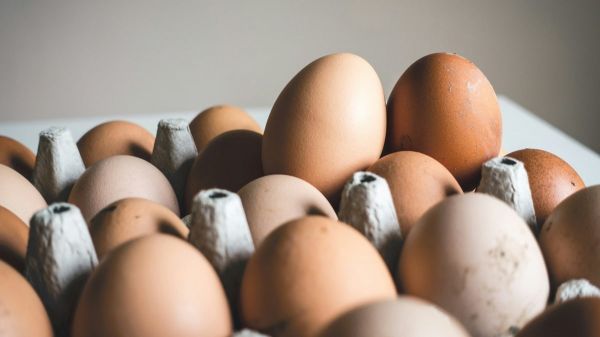 Algérie : feu vert à l'exportation des œufs