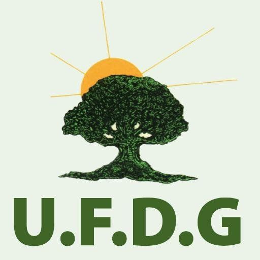 UFDG : les règles du jeu clarifiées à l'approche du congrès décisif !