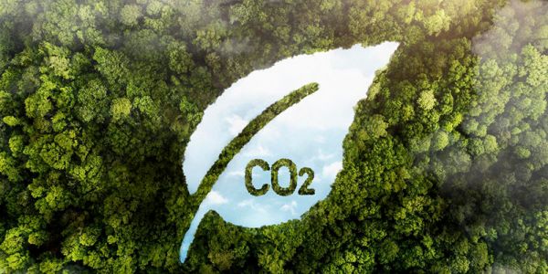 Dakhla : climat, énergie et neutralité carbone au cœur d'un atelier régional