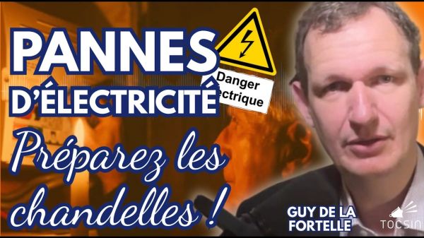 L'UE complètement dépassée par la révolution électrique chinoise