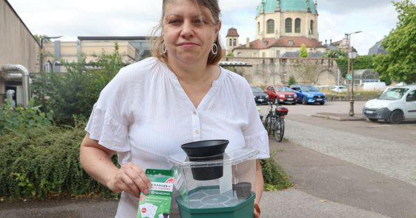 Dijon. Fléau du moustique tigre : la Ville distribue 2 500 pièges aux habitants