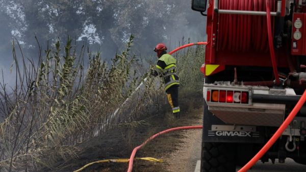 Trois hectares de champs de blé brûlés à Visan, intervention des pompiers en cours