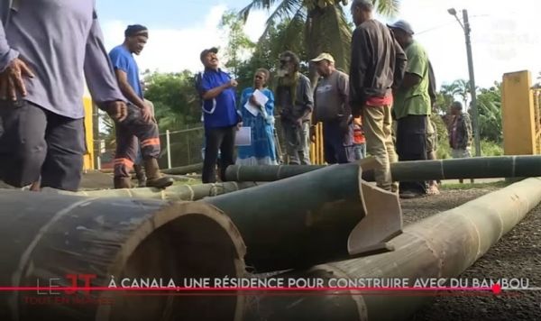 Une randonnée familiale à Ouégoa, zoom sur la construction en bambou à Canala... Le JT de Caledonia du 26 juin