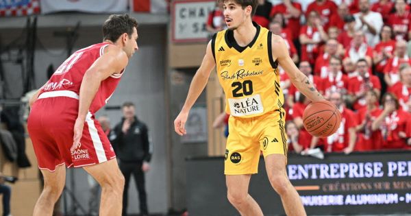 Basket-ball - Élite. Des retours et un effectif déjà bien avancé pour 2025-26