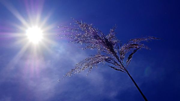 Alerte canicule en France : il va faire très chaud sur l'ensemble du pays, à quelles températures s'attendre pour la fin du week-end ?