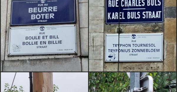 Sélestat. De la place Marsupilami à la rue du Chat-Botté, des plaques de rue pleines de ressources