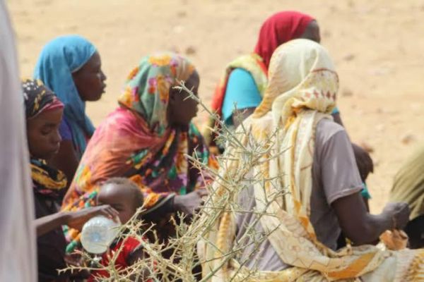 Risque imminent de choléra au Tchad : L'ONU alerte sur la menace venue du Soudan