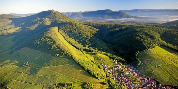 Vins d'Alsace : notre sélection de l'été 2025