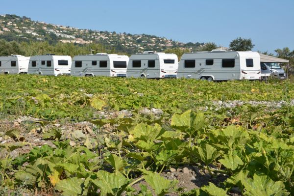 Gens du voyage à Saint-Laurent-du-Var: la Métropole dénonce des "installations sauvages" au milieu des champs de courgettes