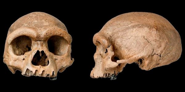 On sait désormais à quoi ressemblait l'homme de Denisova