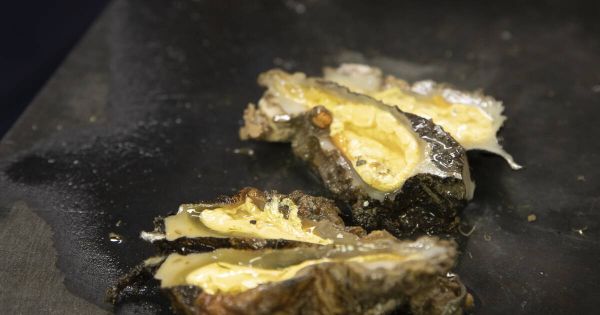 A Marseille, le violet de roche, un mollusque boudé mais pas coulé