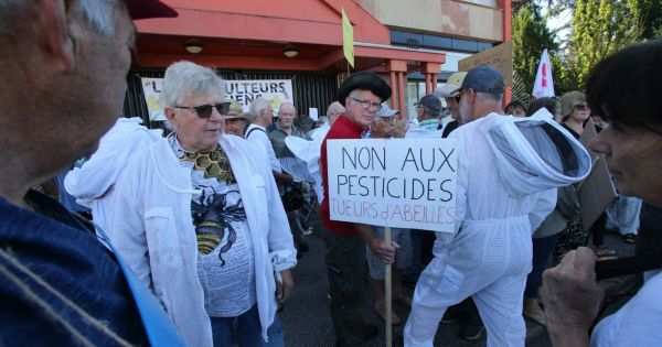 Avenir de l'apiculture : une centaine de personnes réunies devant la Préfecture pour dire non à la loi Duplomb