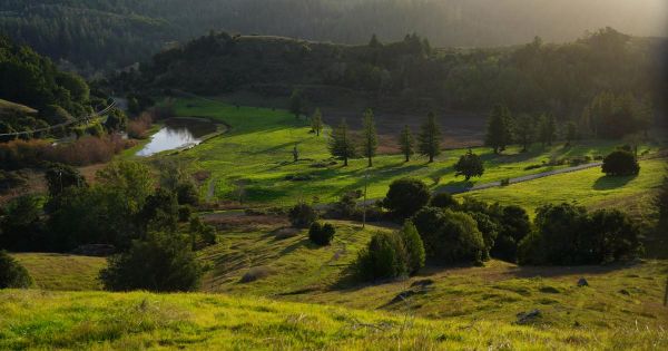 Comment rendre un golf à la nature
