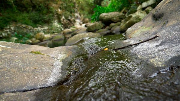 Pollution, prélèvements, climat : ce que dit le dernier état des lieux de l'eau à La Réunion