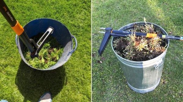 Les 10 Meilleurs Outils Pour Désherber Son Jardin au Naturel (Sans Se Baisser).