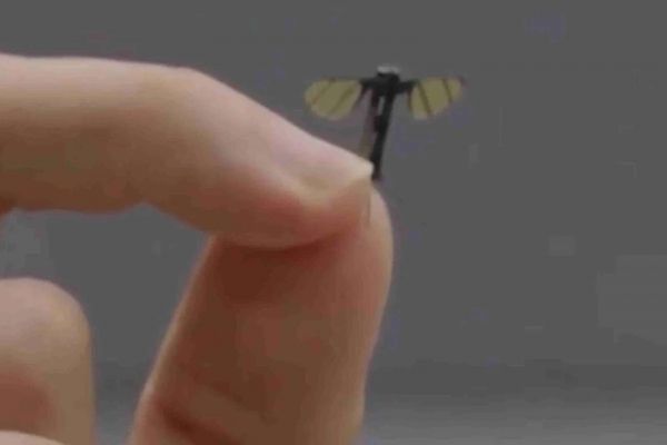 Attention : ceci n'est pas un moustique, mais un drone-espion pour l'armée chinoise !