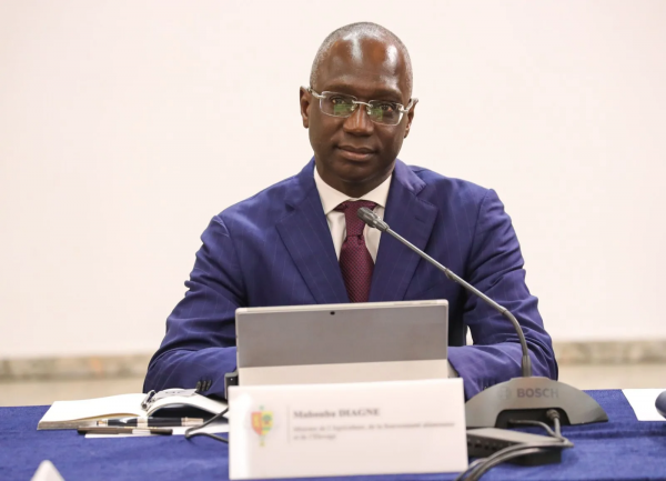 Mabouba Diagne installé comme président de la 44e Conférence de la FAO