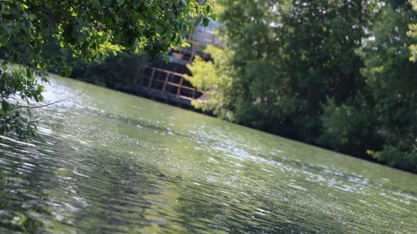 Ardennes : un adolescent de 16 ans décède après s'être noyé dans une zone interdite à la baignade