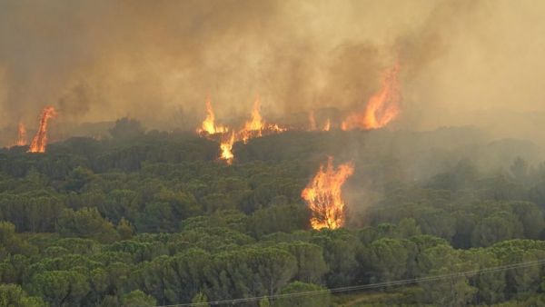 VIDÉO Incendies en cours dans l'Aude : au moins sept départs de feux, l'autoroute A61 coupée... les images impressionnantes des flammes