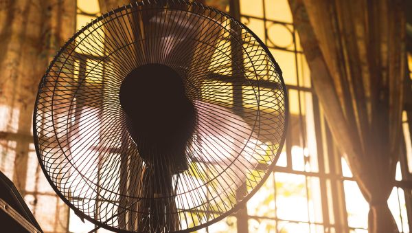 Actualité : Canicule : ces appareils qu'il faut absolument débrancher pour éviter la surchauffe... et alléger la facture