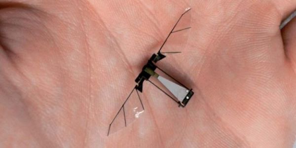 La Chine développe un drone espion de la taille d’un moustique