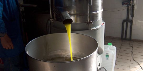 Industrie : Un méga-projet d'extraction d'huiles végétales bientôt opérationnel à Jijel