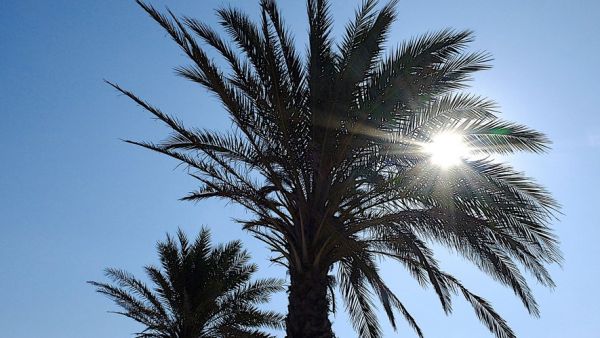 Alerte canicule : Hérault, Aude, Aveyron... les 40 °C ont été dépassés en Occitanie, découvrez les villes où il a fait le plus chaud ce dimanche