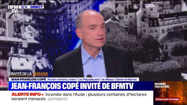 Copé/écologie : "faire preuve de pragmatisme" - 29/06