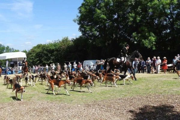 Journées de la biodiversité et de la ruralité : Tous à Saint-Romphaire ce weekend avec les chasseurs de la Manche !