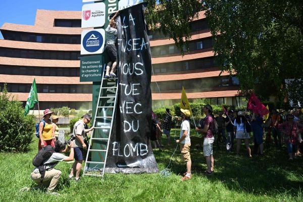 Des milliers d'opposants à la loi Duplomb mobilisés ce week-end en France