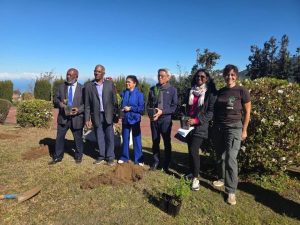 Plan 1 million d'arbres : 5.000 plants pour l'ambitieux projet de Fos Réunion sur le site de Bois Court