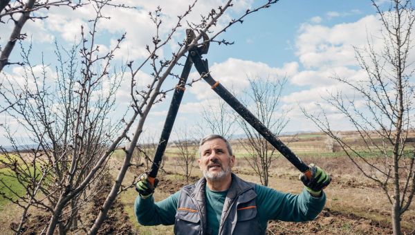 Le Geiq Agri Limousin Périgord, recrute des postes en alternance dans le secteur agricole en Dordogne