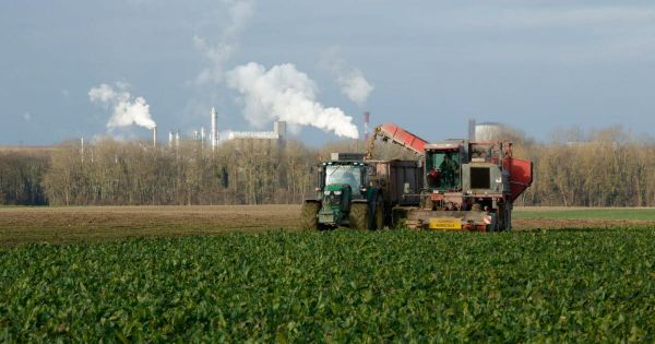Pourquoi c'est important. Loi agricole Duplomb : va-t-on vers un accord entre députés et sénateurs en CMP ?