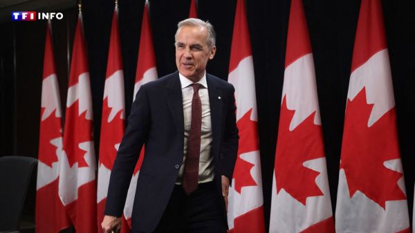 Le Canada annule une taxe visant les géants de la tech, reprise des négociations commerciales avec Washington | TF1 INFO