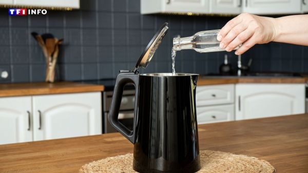 Existe-t-il une différence entre le vinaigre blanc, le vinaigre ménager ou le vinaigre d'alcool ? | TF1 INFO