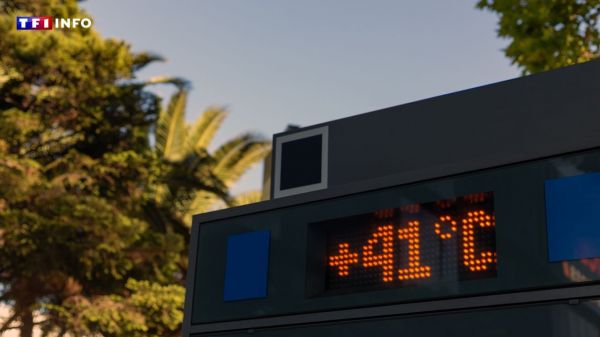 La canicule frappe aussi le sud de l'Europe, les touristes obligés de s'adapter | TF1 INFO