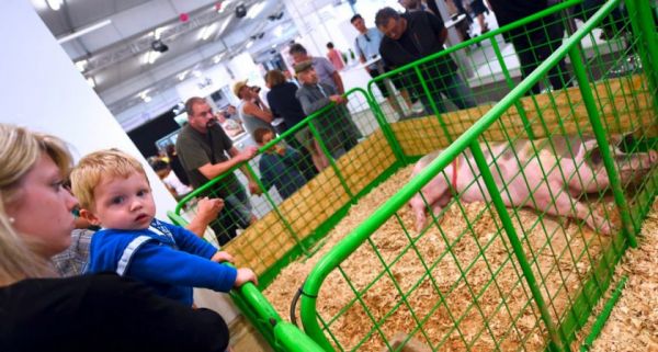Foire de Libramont : 72 millions d’euros de retombées économiques
