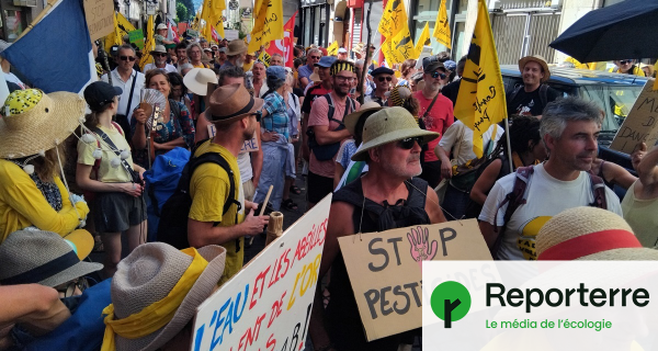 « Pas de loi Duplomb, on veut des papillons ! » : 10 000 personnes en colère partout en France