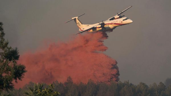 Dans l'Aude, l'incendie provoqué par un barbecue mal éteint a brûlé plus de 400 hectares, le feu « fixé »