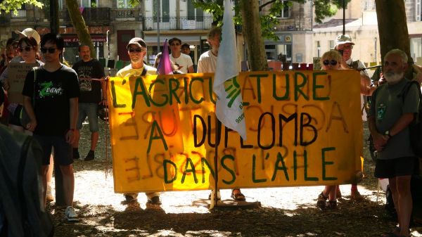 « Régression radicale », « négation des faits scientifiques »... Des milliers de personnes manifestent contre la loi Duplomb