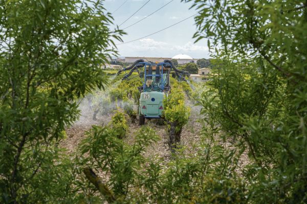 « Contre la science, contre la santé, contre l'intérêt général » : la loi Duplomb, un texte explosif qui relance les pesticides interdits et attaque la gauche