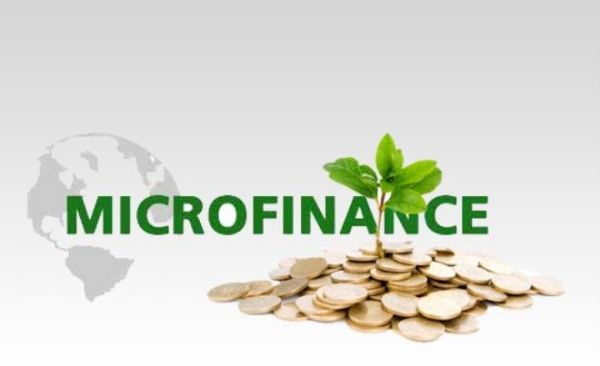 Le coût du microcrédit s'envole : le TEG atteint 25,7 % fin 2024
