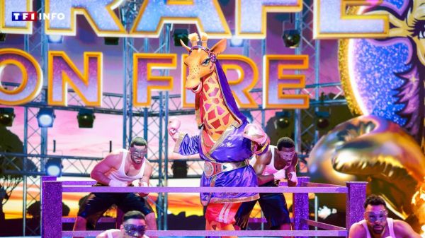 Déjà au générique de "Léo Mattéï", la gagnante de "Mask Singer" fera sa rentrée dans "Demain nous appartient" | TF1 INFO