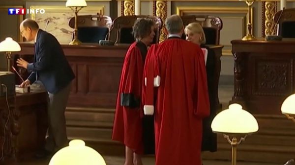 Faut-il élire les juges ? La proposition décriée du député LR Vincent Jeanbrun | TF1 INFO
