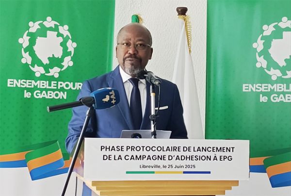 Comptes de campagne : Pas de comptes à rendre à la Cour des Comptes pour l'argent privé, estime Bilie-By-Nze