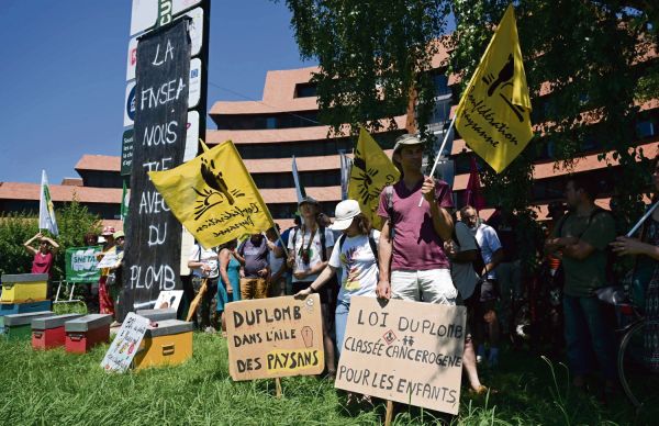 Loi Duplomb : les syndicats paysans opposés à la dérégulation au mépris de la santé et de l'environnement