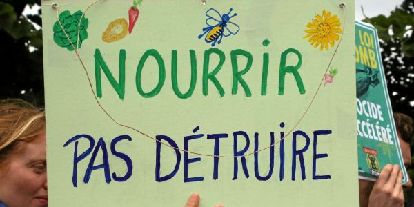 Loi agricole Duplomb : pourquoi le texte controversé pourrait ne pas être adopté ?