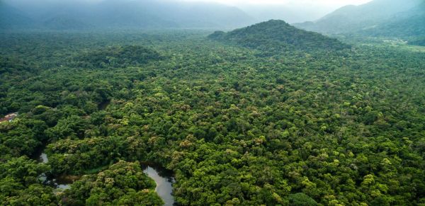 Une découverte au cœur du Honduras bouscule le mythe des premières cultures